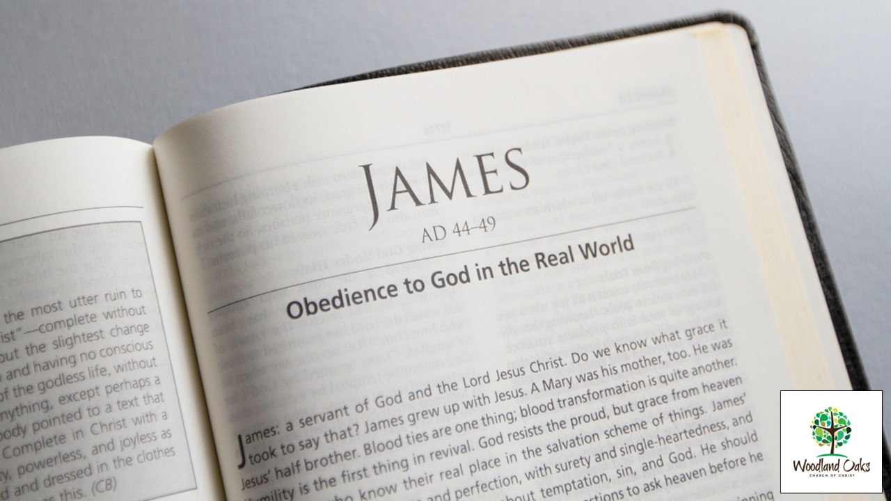 Monday Morning Christianity - Lessons From James Image