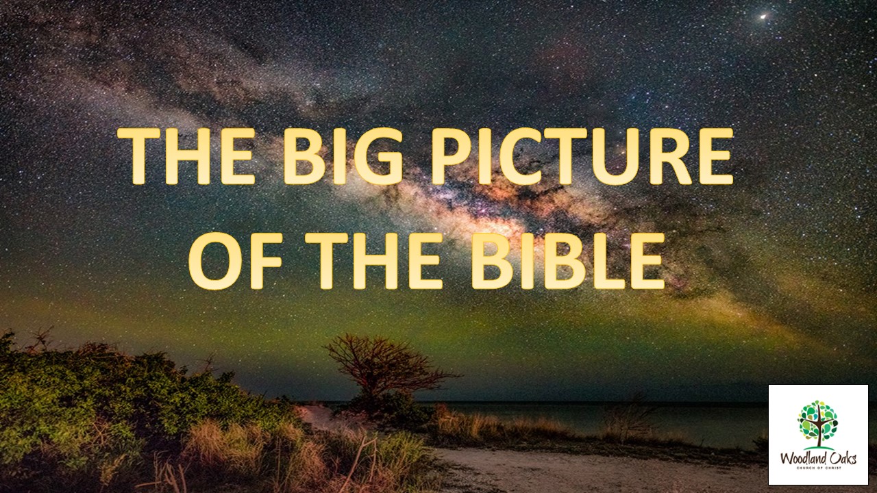 The Big Picture of the Bible