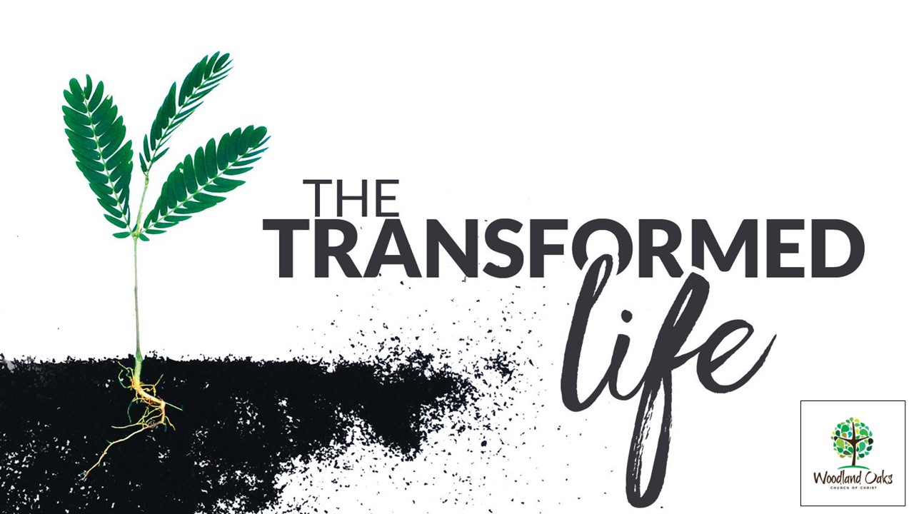 The Transformed Life  (1 of 3) Image