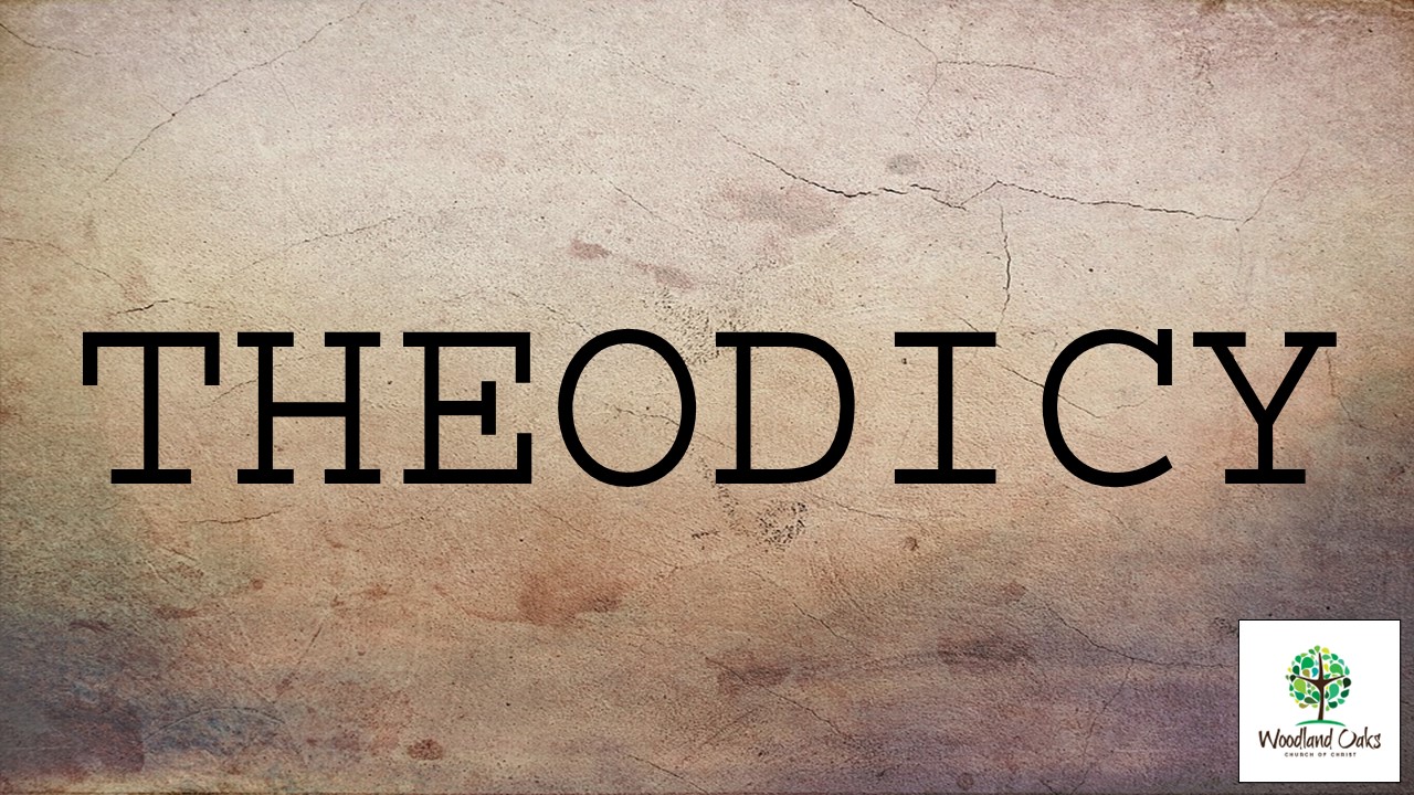 Theodicy (1 of 2) Image